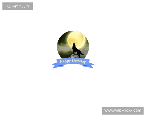 星空电子PG官网网址官方最新更新地址及访问方法详解