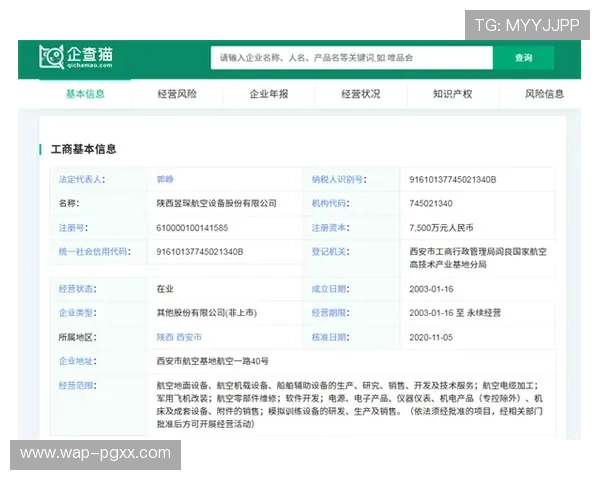 最新PG电子在线登录入口全面升级，确保用户安全稳定登录体验持续优化